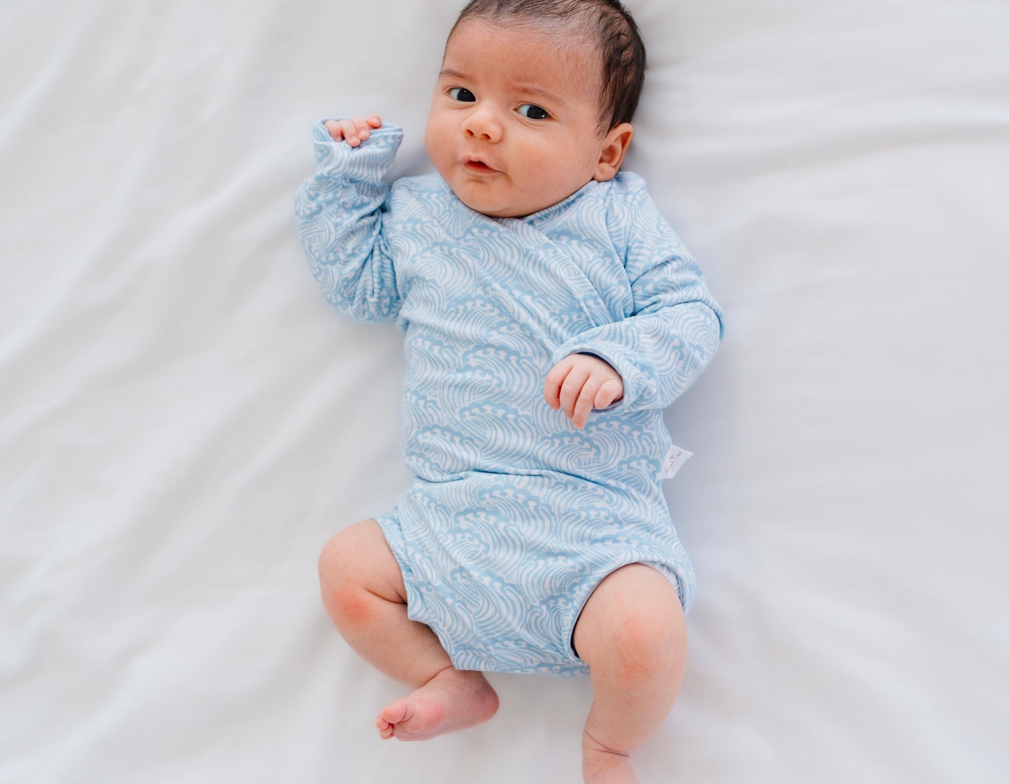 Blue swells design long-sleeve baby onesie in classic brushed fabric.