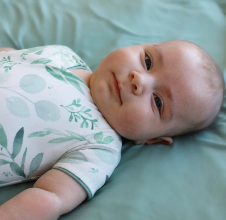 Soft short-sleeve winged bodysuit made from classic brushed fabric in the calming Saged Eucalyptus design.