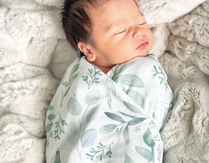 Classic brushed long sleeve newborn essentials bundle in saged eucalyptus design.