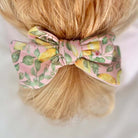 Pink Lemonade baby hair bow headband and clip set for newborns and infants.