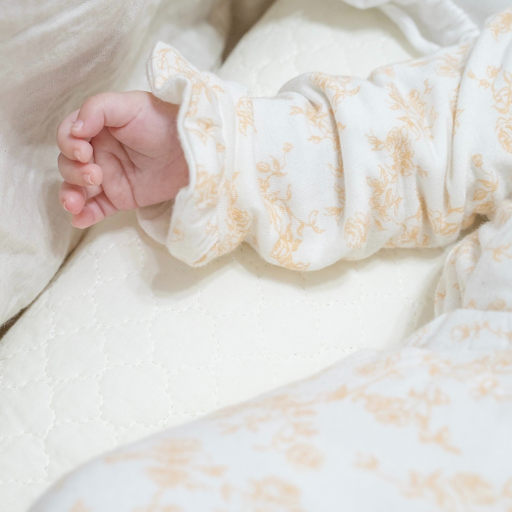 Silky modal long sleeved baby winged bodysuit in Bitty Blooms design.