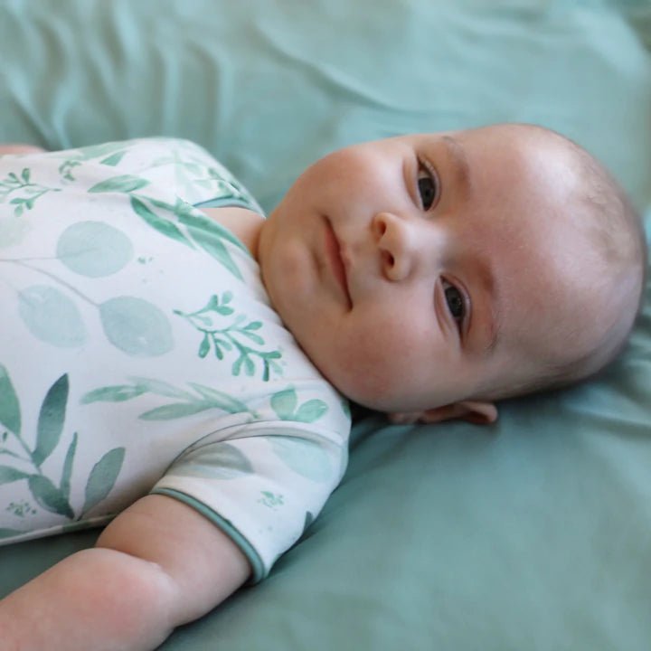 Soft short-sleeve winged bodysuit made from classic brushed fabric in the calming Saged Eucalyptus design.